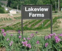 Lakeview Farms